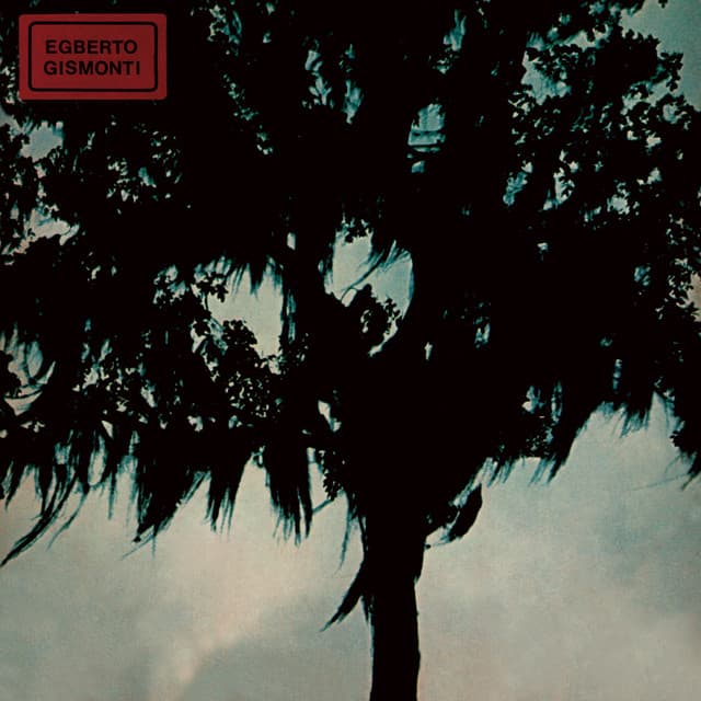 Egberto Gismonti - Egberto Gismonti