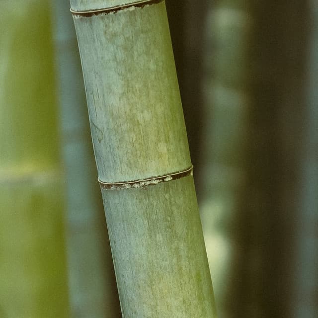 10 Contemplations: Meditation For Peaceful Moments - Relaxing Music Therapy