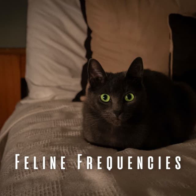 Feline Frequencies: Binaural Music for Cat Lovers - Solfeggio Frequencies Tones