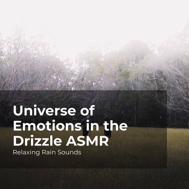 Universe of Emotions in the Drizzle ASMR - Relaxing Rain Sounds