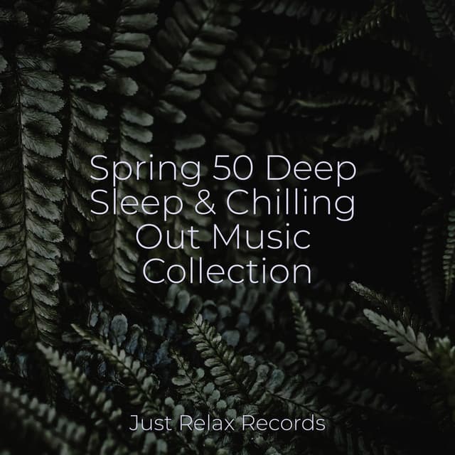 Spring 50 Deep Sleep & Chilling Out Music Collection - Drowsy Cloud