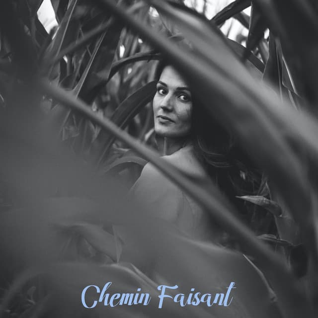 Chemin faisant - Musique Zen