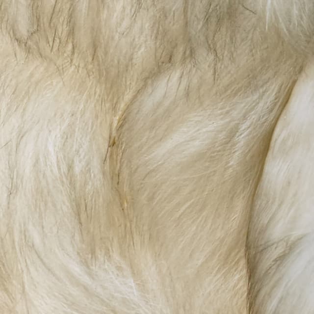 365 Complete Works 27 - Aidan O'Rourke