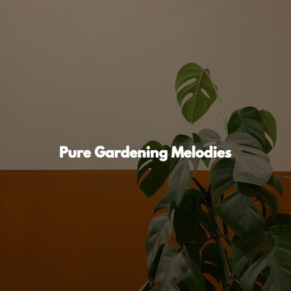 Pure Gardening Melodies - Jazz para Oficinas