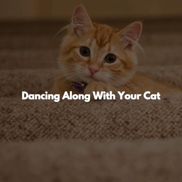 Dancing Along With Your Cat - Working at Home