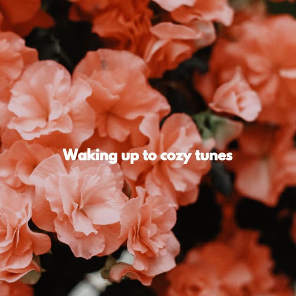 Waking up to cozy tunes - Ontspannende Muziek