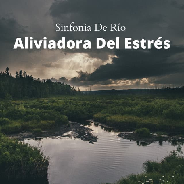 Sinfonia De Río Aliviadora Del Estrés - Sonidos de agua para spa