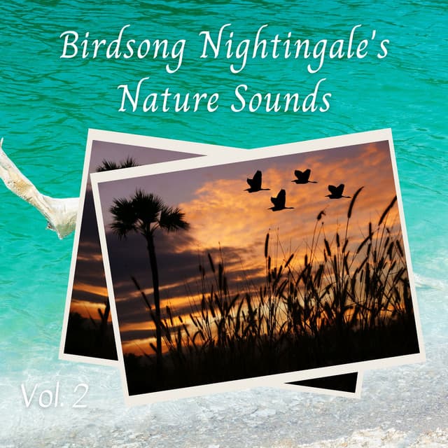 Birdsong Nightingale's Nature Sounds Vol. 2 - Myrs