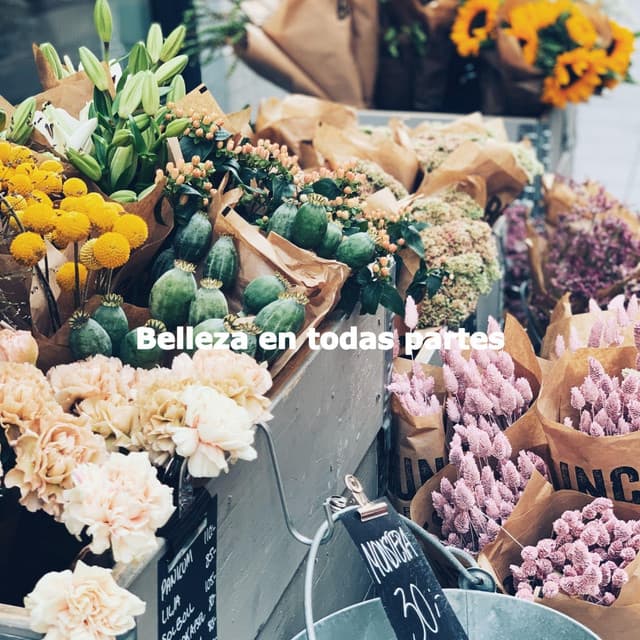 Belleza en todas partes - Jazz Chillout