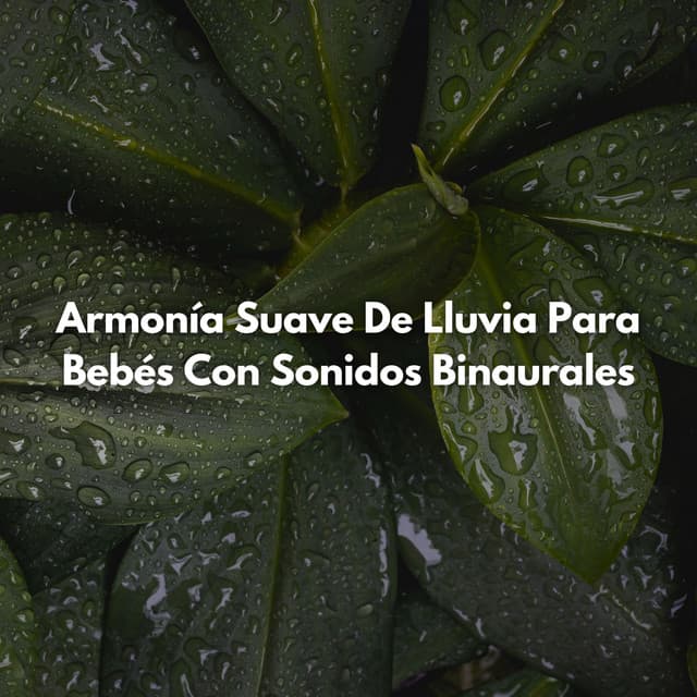 Armonía Suave De Lluvia Para Bebés Con Sonidos Binaurales - Grabaciones de ritmos binaurales