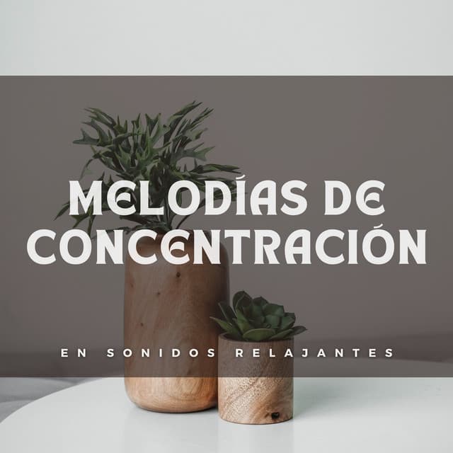 Melodías De Concentración En Sonidos Relajantes - Relajación Pianística