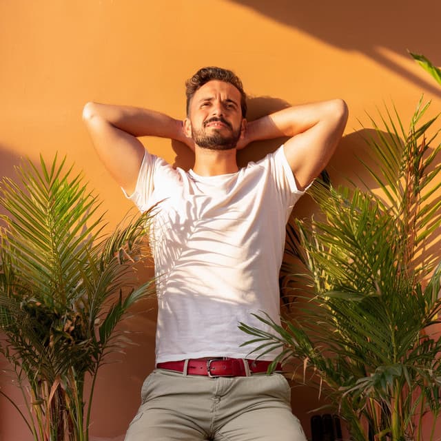 Serenata Nocturna: Armonías Para Una Mente Tranquila - Sonidos de grillo