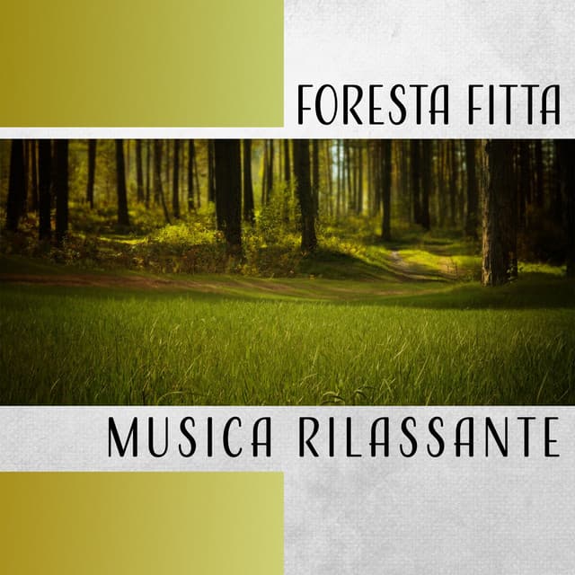 Foresta fitta - Musica Rilassante Maestro