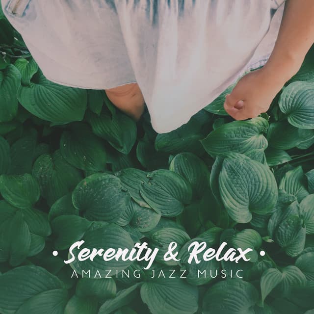 Serenity & Relax. Amazing Jazz Music. Feel Good, Positive Thinking, Blissful Time, Rest - Serenity Jazz Collection