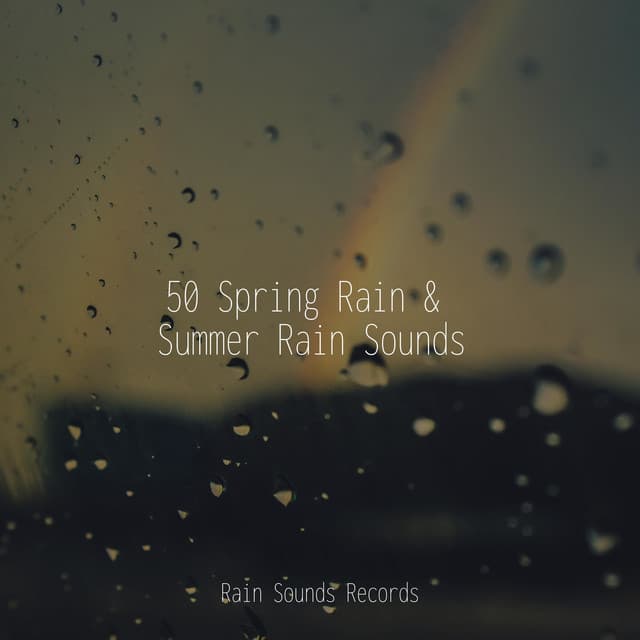 50 Spring Rain & Summer Rain Sounds - Sonido Del Bosque y Naturaleza