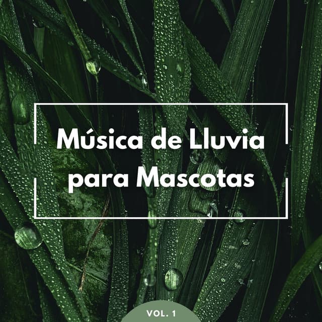 Música: Música De Lluvia Para Mascotas Vol. 1 - Olivia Lluvia