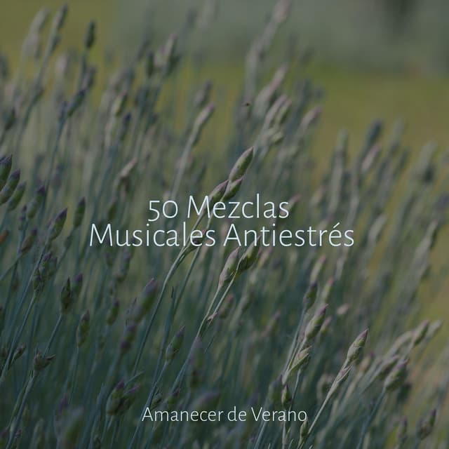 50 Mezclas Musicales Antiestrés - Meditación Maestro