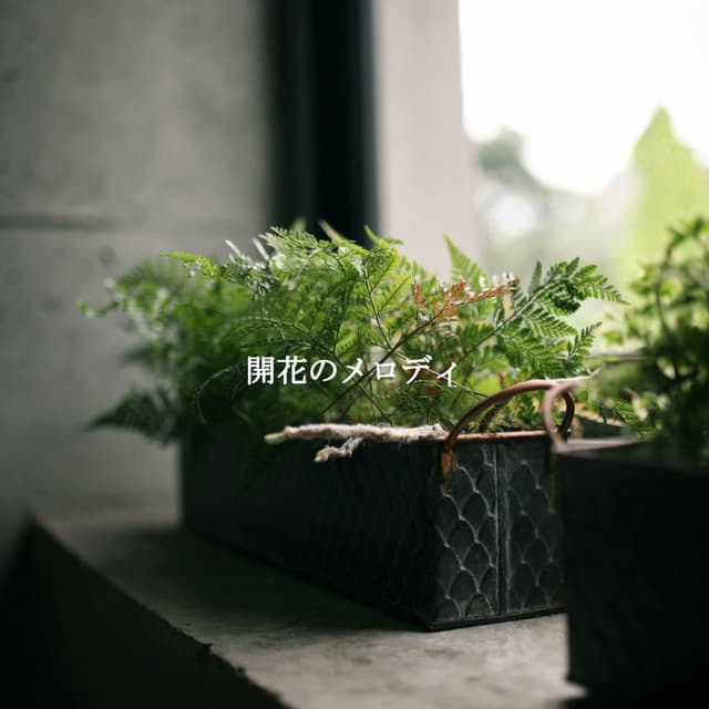 開花のメロディ - Musica para Hoteles