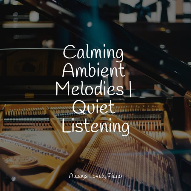 The Best Songs to Relax the Spirit - Chilout Piano Lounge