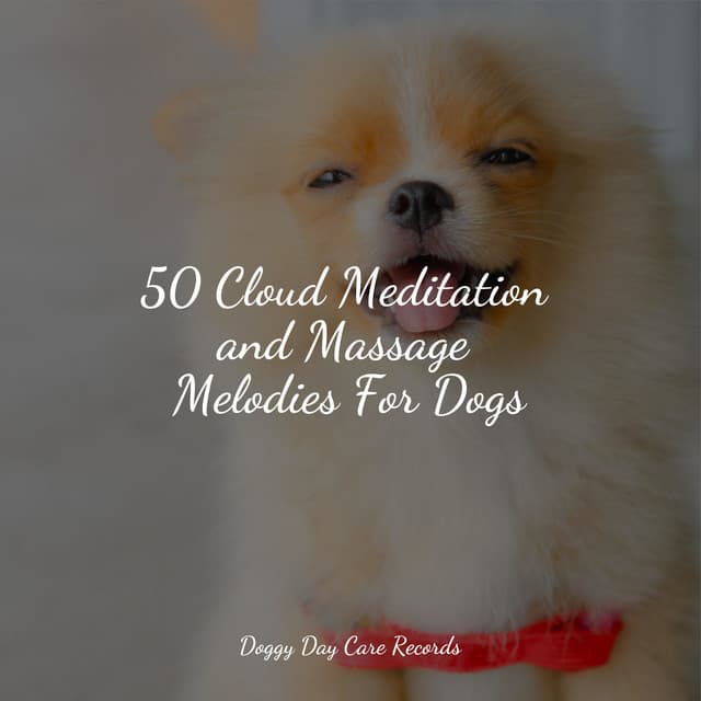 Jazz Music Therapy for Dogs