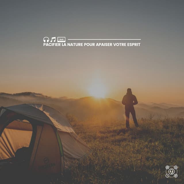 Pacifier La Nature pour Apaiser Votre Esprit - Sons de la nature