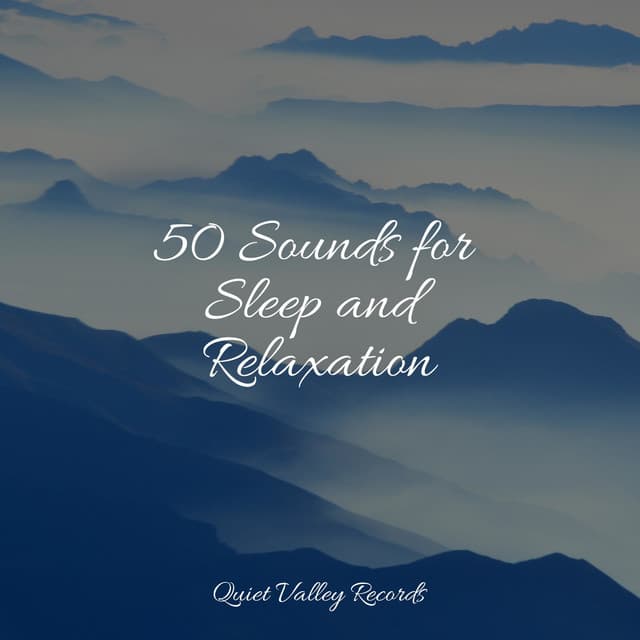 50 Sounds for Sleep and Relaxation - Wave Sound Group