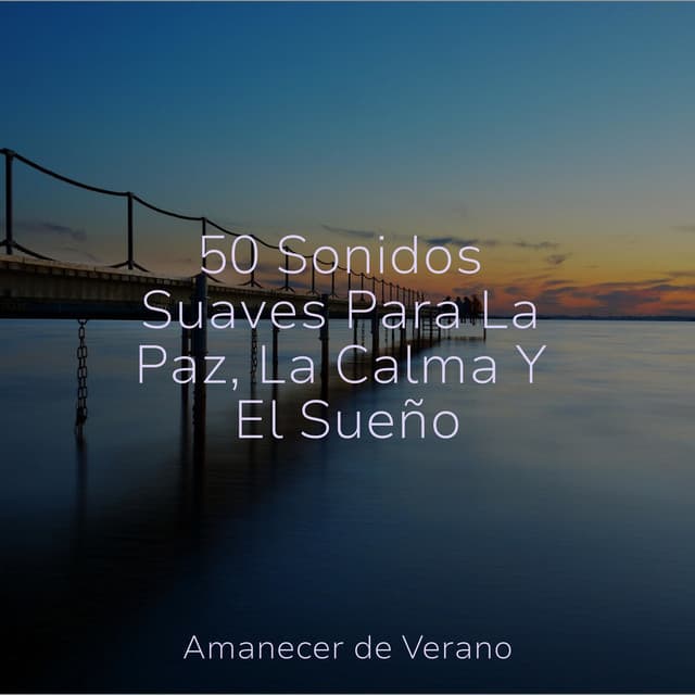 50 Sonidos Suaves Para La Paz, La Calma Y El Sueño - Sonidos De Lluvia y Tormentas