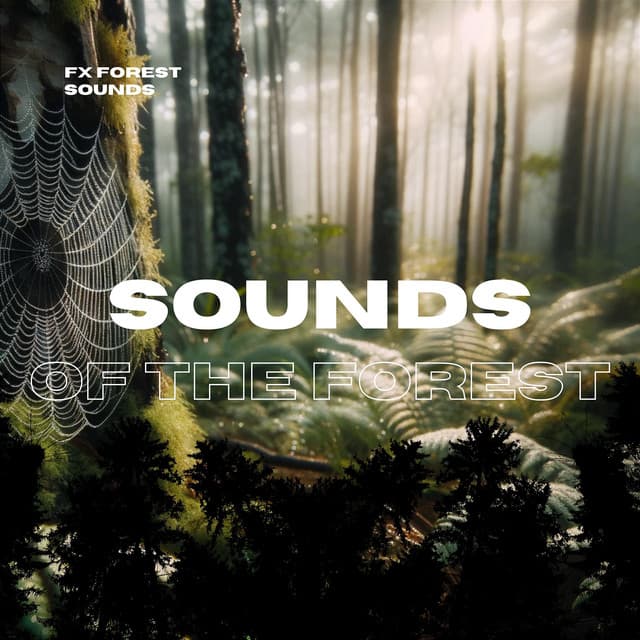 Sounds of the Forest - FX Forest Sounds