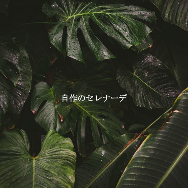 自作のセレナーデ - Happy Sunday Morning Music