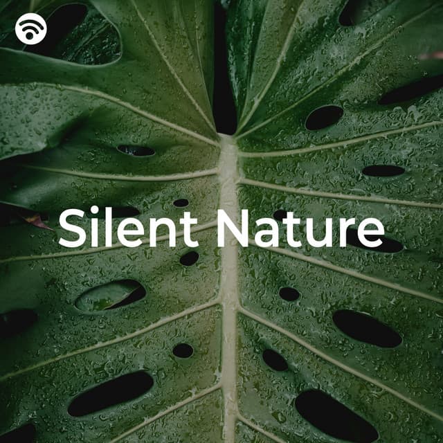 Silent Nature - Nature Sounds Nature Music