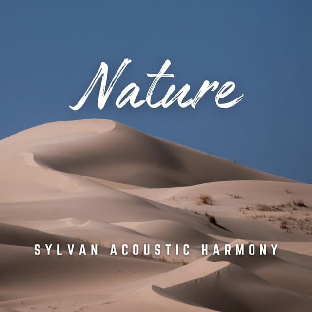 Whispers of Wood: Acoustic Soundscapes - Calm Stress Relief