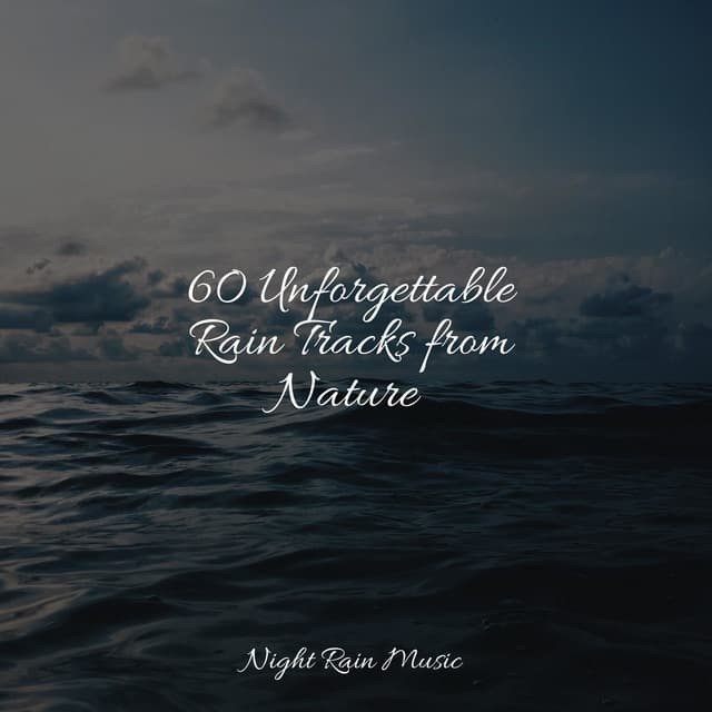 60 Unforgettable Rain Tracks from Nature - Soothing Nature Sounds