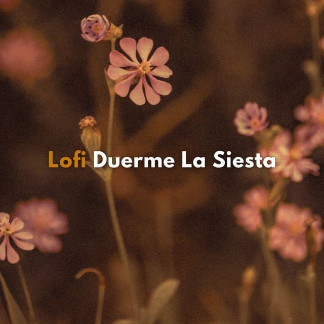 Lofi: Duerme La Siesta - Beats de baja fidelidad para dormir