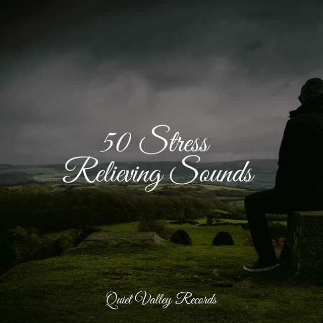 50 Stress Relieving Sounds - Dr. Meditation