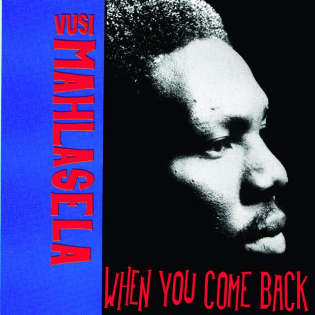 When You Come Back - Vusi Mahlasela