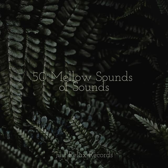 50 Mellow Sounds of Sounds - Relaxing Music