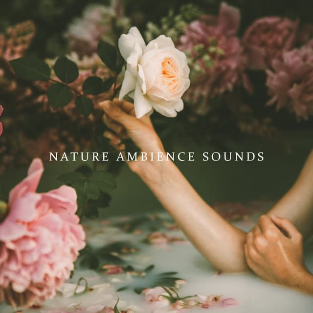 Nature Ambience Sounds for Spa, Wellness, Sauna and Bath - Spa Music Consort