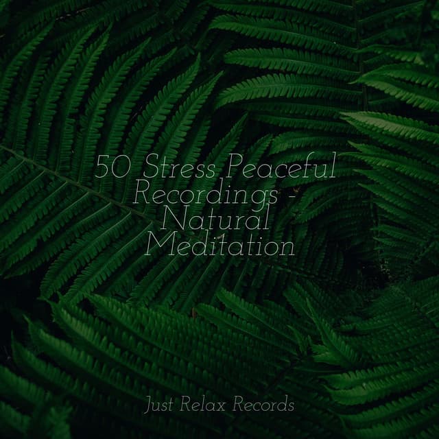 50 Stress Peaceful Recordings - Natural Meditation - Yoga