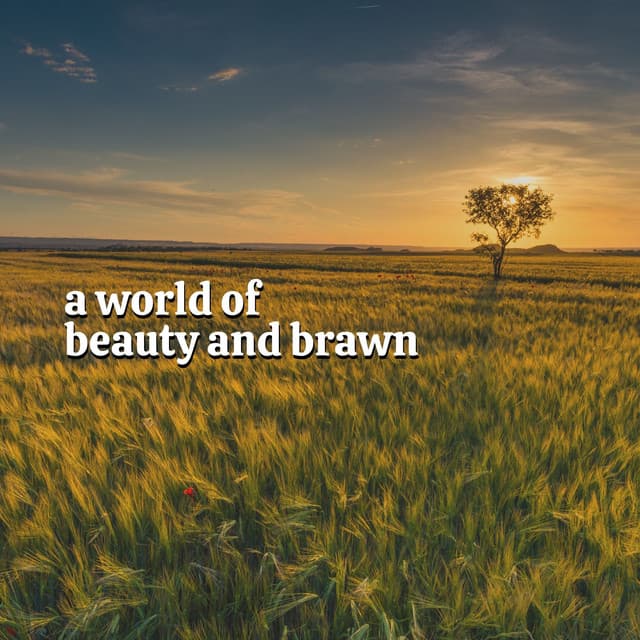 A World of Beauty and Brawn - Weather Garden