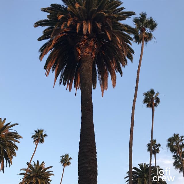 Jazz Para La Calma De La Mente - Office Time