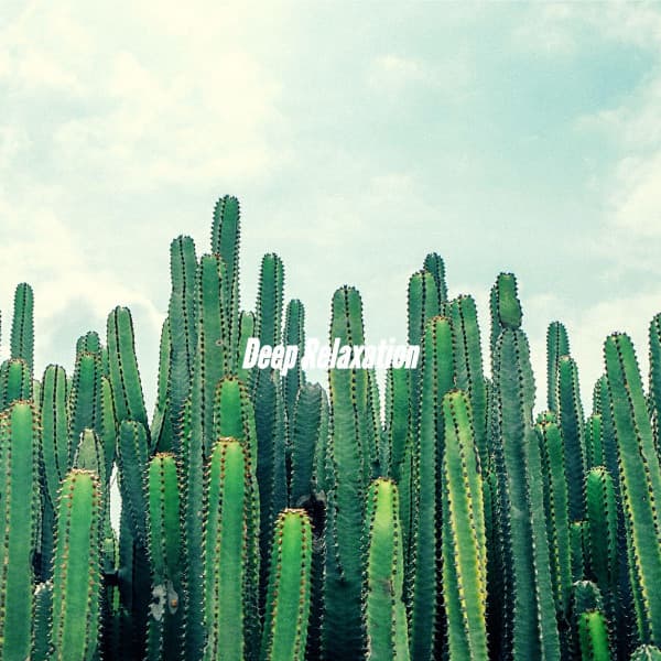 Deep Relaxation - Relaxing Jazz Music