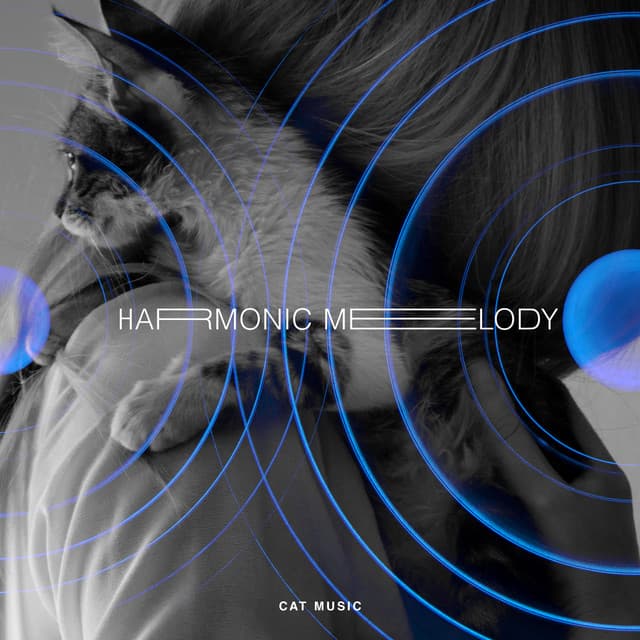Harmonic Melody - Cat Music