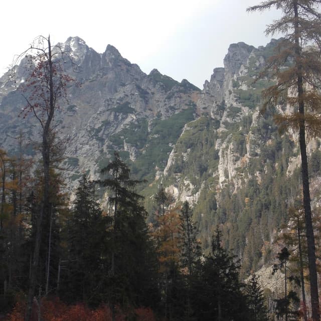 Road to Switzerland - Jazz Café Bar