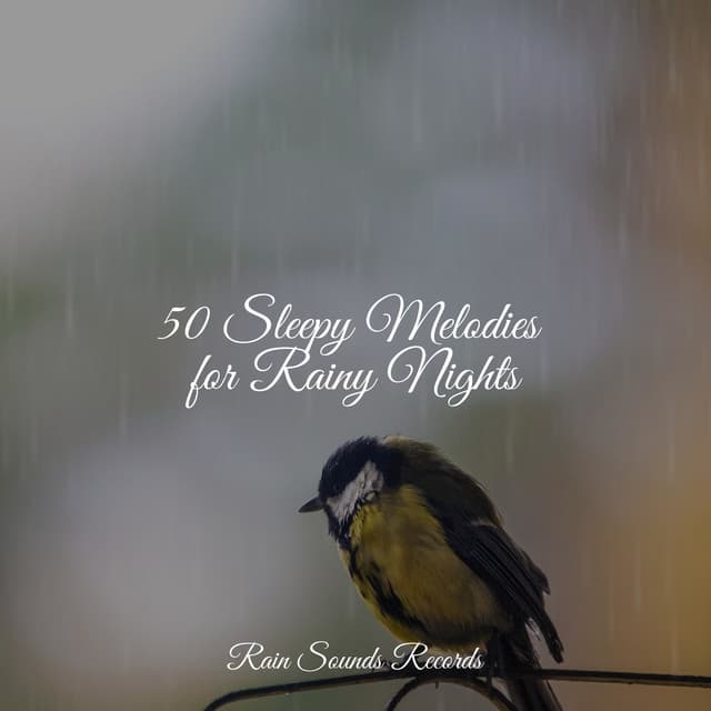 50 Sleepy Melodies for Rainy Nights - Lullabies for Deep Meditation
