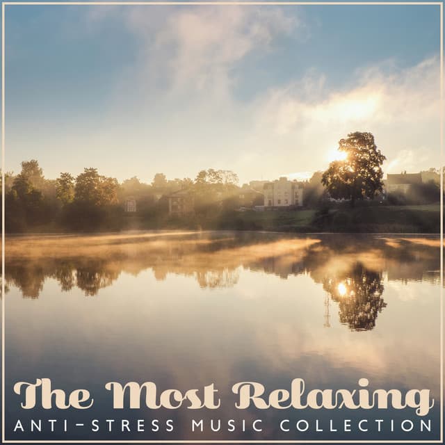 The Most Relaxing Anti-Stress Music Collection: Nature Sounds for Relaxation, Sleep & Profound Meditation, Soothing Sounds of Water, Winds and Streams - Chillout Master