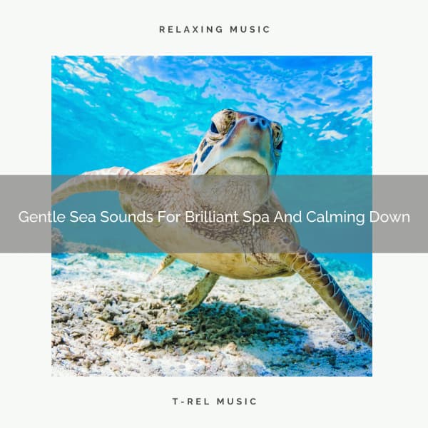 Gentle Sea Sounds For Brilliant Spa And Calming Down - Timeless Relax