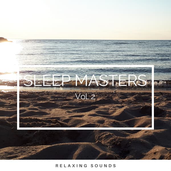 2022 Sleep Masters Vol. 2 - World Recorders