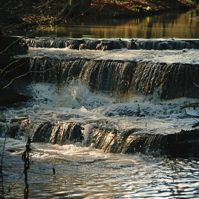Melodías Tranquilas De Meditación Para Un Enfoque Sereno - Cuencos cantores del Tíbet