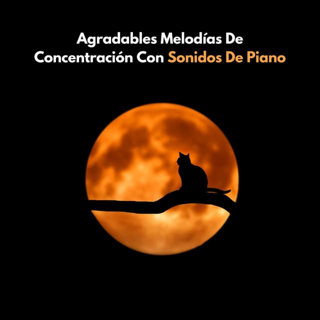 Agradables Melodías De Concentración Con Sonidos De Piano - Relajación Pianística