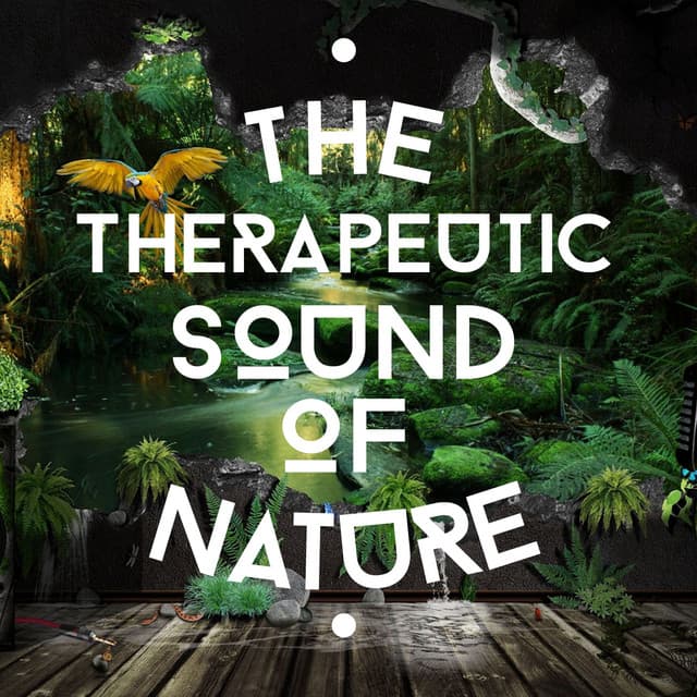 The Therapeutic Sound of Nature - The Healing Sounds of Nature